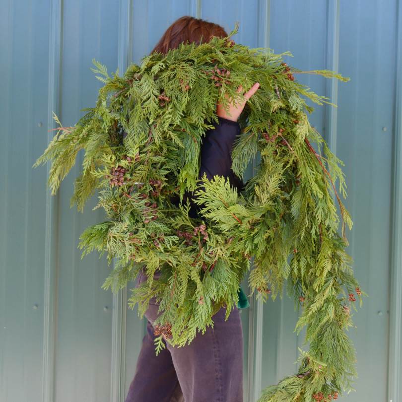 Fresh Cedar & Douglas Holiday Garland - Image 4